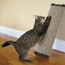 omega paw scratching post