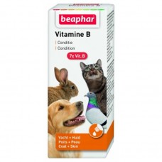 Beaphar VITAMIN B COMPLEX - 50 ML bird item health care small animal item hamster item rabbit